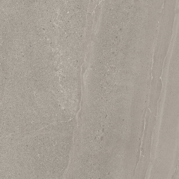 Cactus - Image 3
