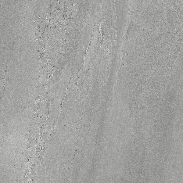 Cactus - Image 4