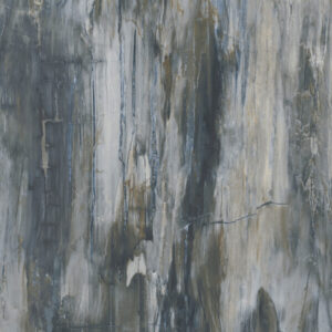 Petrified Wood